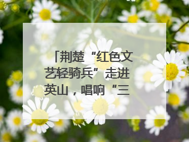 荆楚“红色文艺轻骑兵”走进英山，唱响“三大精神”