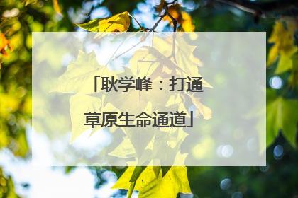耿学峰：打通草原生命通道