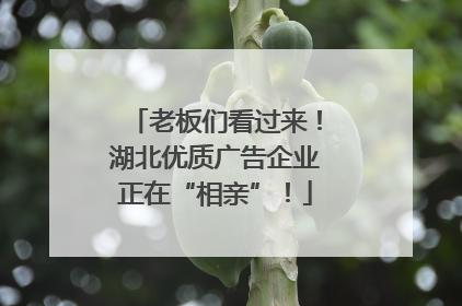 老板们看过来！湖北优质广告企业正在“相亲”！