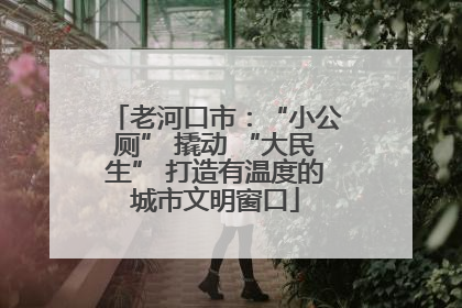 老河口市：“小公厕” 撬动 “大民生” 打造有温度的城市文明窗口