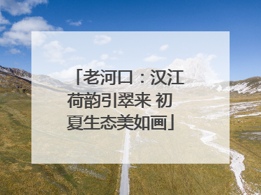 老河口：汉江荷韵引翠来 初夏生态美如画