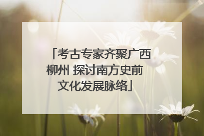 考古专家齐聚广西柳州 探讨南方史前文化发展脉络