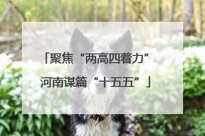 聚焦“两高四着力” 河南谋篇“十五五”