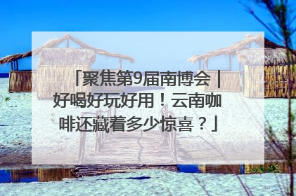 聚焦第9届南博会｜好喝好玩好用！云南咖啡还藏着多少惊喜？