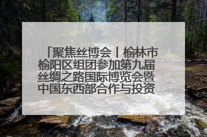 聚焦丝博会丨榆林市榆阳区组团参加第九届丝绸之路国际博览会暨中国东西部合作与投资贸易洽谈会