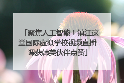 聚焦人工智能！镇江这堂国际虚拟学校视频直播课获韩美伙伴点赞