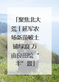 聚焦北大荒丨延军农场新苗破土铺绿浪 万亩良田绘“丰”景