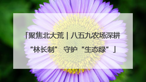 聚焦北大荒｜八五九农场深耕“林长制” 守护“生态绿”