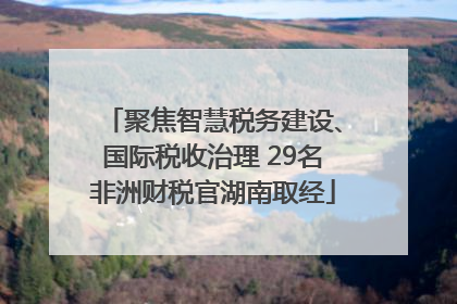 聚焦智慧税务建设、国际税收治理 29名非洲财税官湖南取经