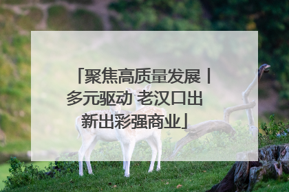 聚焦高质量发展丨多元驱动 老汉口出新出彩强商业