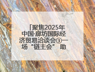 聚焦2025年中国·廊坊国际经济贸易洽谈会③一场“链主会” 助力厂商破圈发展