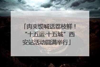 肉夹馍喊话荔枝鲜！“十五运·十五城”西安站活动圆满举行