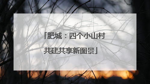 肥城：四个小山村共建共享新图景