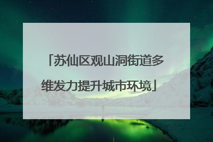 苏仙区观山洞街道多维发力提升城市环境