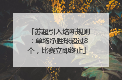 苏超引入熔断规则：单场净胜球超过8个，比赛立即终止