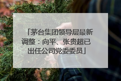 茅台集团领导层最新调整：向平、张贵超已出任公司党委委员