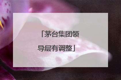 茅台集团领导层有调整