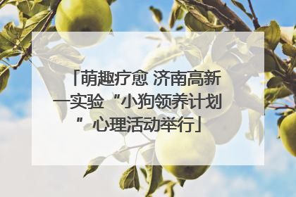 萌趣疗愈 济南高新一实验“小狗领养计划”心理活动举行