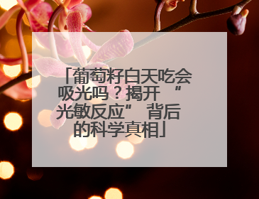 葡萄籽白天吃会吸光吗？揭开 “光敏反应” 背后的科学真相