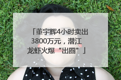 董宇辉4小时卖出3800万元，潜江龙虾火爆“出圈”