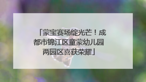 蒙宝赛场绽光芒！成都市锦江区童蒙幼儿园两园区喜获荣耀