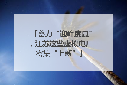 蓄力“迎峰度夏”，江苏这些虚拟电厂密集“上新”