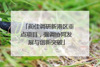 蔺佳调研新港区重点项目，强调协同发展与创新突破