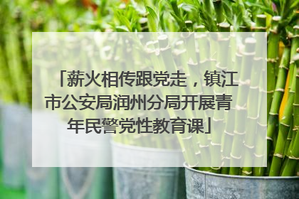 薪火相传跟党走，镇江市公安局润州分局开展青年民警党性教育课