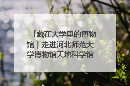 藏在大学里的博物馆｜走进河北师范大学博物馆天地科学馆：在校园里赴一场“宇宙之约”