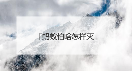 蚂蚁怕啥怎样灭蚂蚁不留痕？蚂蚁用什么药能彻底消灭？答案在这！