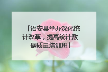 诏安县举办深化统计改革，提高统计数据质量培训班