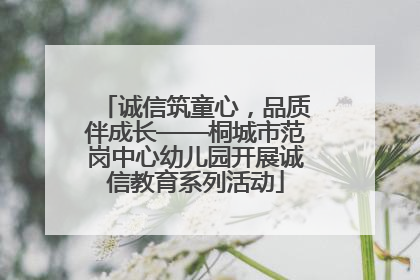诚信筑童心，品质伴成长——桐城市范岗中心幼儿园开展诚信教育系列活动