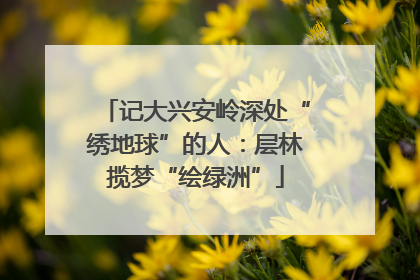 记大兴安岭深处“绣地球”的人：层林揽梦“绘绿洲”
