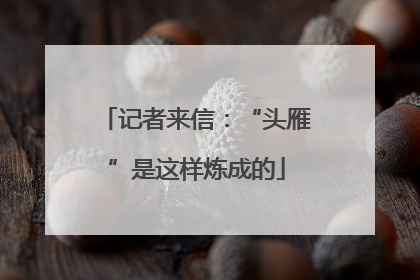 记者来信：“头雁”是这样炼成的