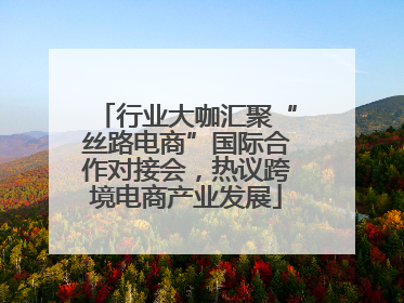 行业大咖汇聚“丝路电商”国际合作对接会，热议跨境电商产业发展