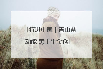 行进中国｜青山蓄动能 黑土生金仓