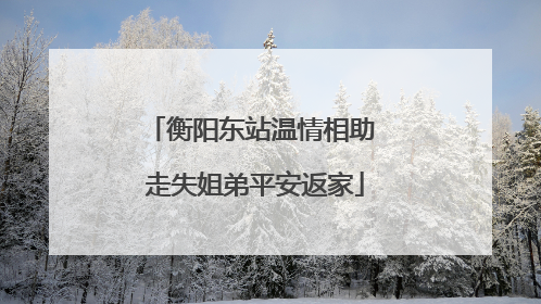 衡阳东站温情相助 走失姐弟平安返家