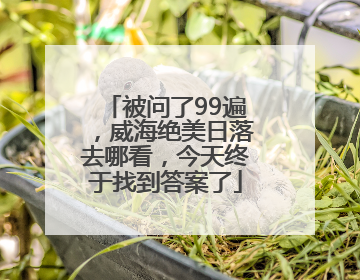 被问了99遍，威海绝美日落去哪看，今天终于找到答案了