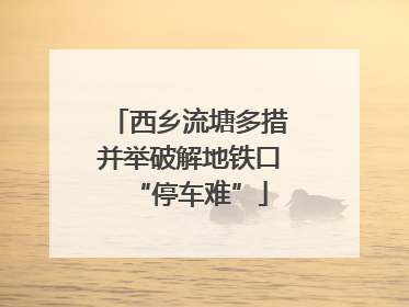 西乡流塘多措并举破解地铁口“停车难”