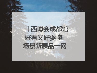 西博会成都馆好看又好耍 新场景新展品一网打尽“成都智造”｜西博视界