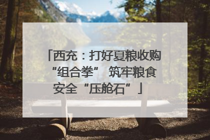 西充：打好夏粮收购“组合拳” 筑牢粮食安全“压舱石”