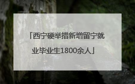 西宁硬举措新增留宁就业毕业生1800余人