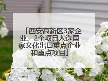 西安高新区3家企业、2个项目入选国家文化出口重点企业和重点项目