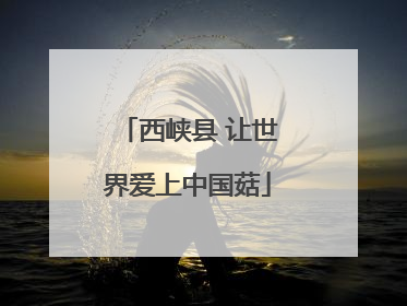 西峡县 让世界爱上中国菇