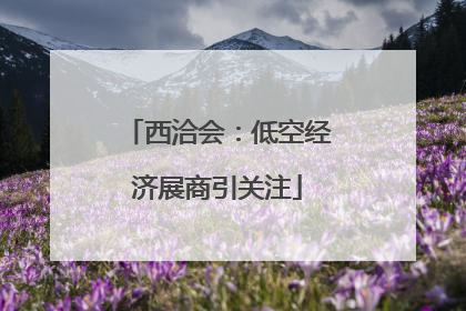 西洽会：低空经济展商引关注