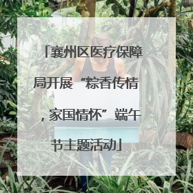 襄州区医疗保障局开展“粽香传情，家国情怀”端午节主题活动