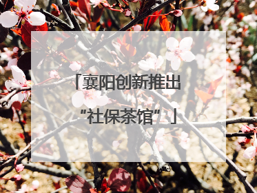 襄阳创新推出“社保茶馆”