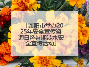 襄阳市举办2025年安全宣传咨询日暨暑期涉水安全宣传活动