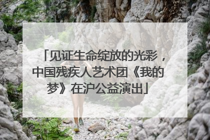 见证生命绽放的光彩，中国残疾人艺术团《我的梦》在沪公益演出