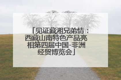 见证藏湘兄弟情：西藏山南特色产品亮相第四届中国-非洲经贸博览会